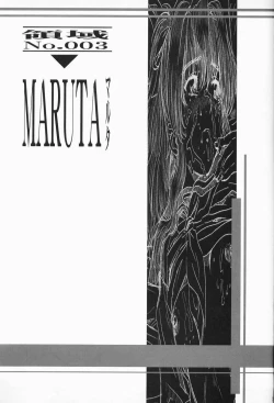 Page 28 of Metou Tiger IV