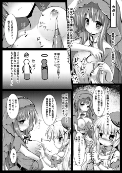 Page 14 of Gaichuu Higai Houkokusho File 4