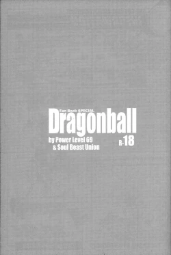 Page 4 of Dragonball Fan Book SPECIAL