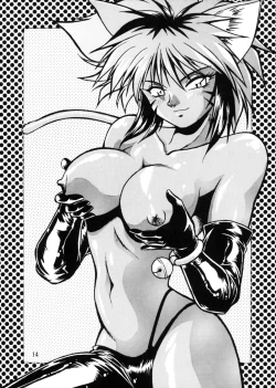 Page 13 of HELP ME Nyanmar-sama vol.2