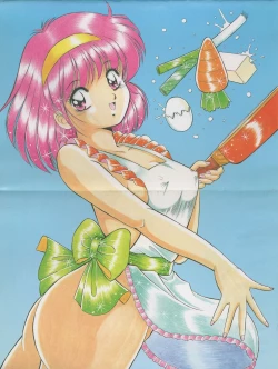 Page 3 of Official Alicesoft Full Completion Guide