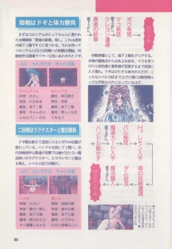 Page 85 of Official Alicesoft Full Completion Guide