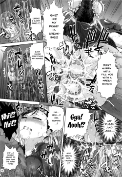 Page 15 of Chun-Li Sousakan Sennyuu Sousa Kiroku Gekan