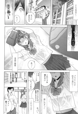 Page 67 of Giri nara Kyoudai Renai Shite mo Ii yo ne