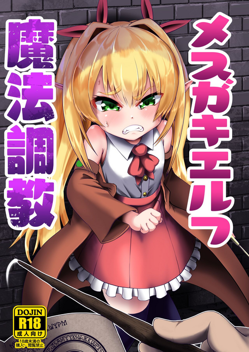 [Owakari Itadaketa darou ka (Umiyamasoze)] Mesugaki Elf Mahou Choukyou [Chinese] [xyzf个人汉化] [Digital]