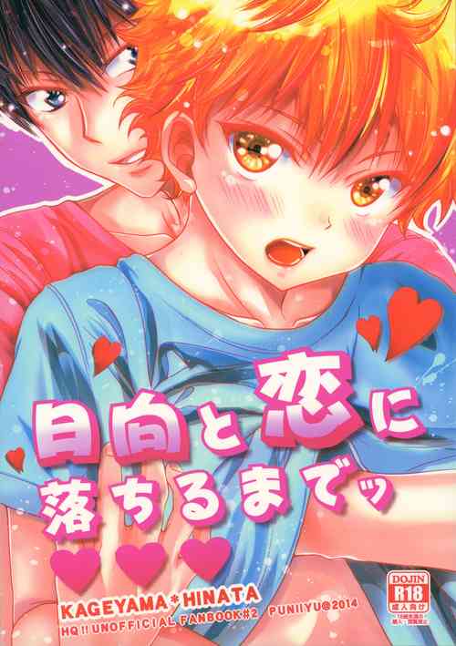 (SUPER COMIC CITY 23) [puniiyu] Hinata to Koi ni Ochiru Made— (Haikyuu!!)