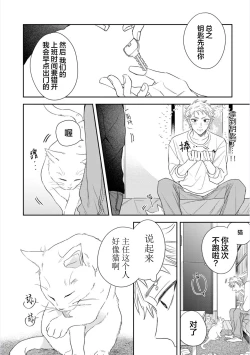 Page 41 of Dakasete Kudasai Furutaka Shunin｜请让我抱您古高主任