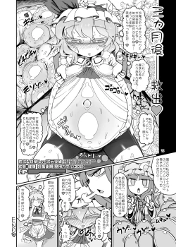 Page 36 of Remilia Mugen Marunomi