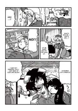 Page 13 of Eirin Yume Mousou