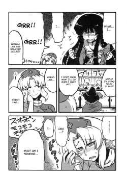 Page 15 of Eirin Yume Mousou