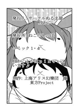 Page 38 of Eirin Yume Mousou