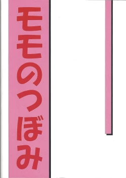 Page 38 of Puchieru Eru