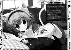 Page 3 of BBOX-Level.06