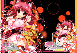 Download BBOX-Level.06