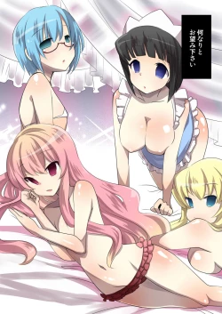 Page 27 of Zero no Tsukaima Sennou Manga