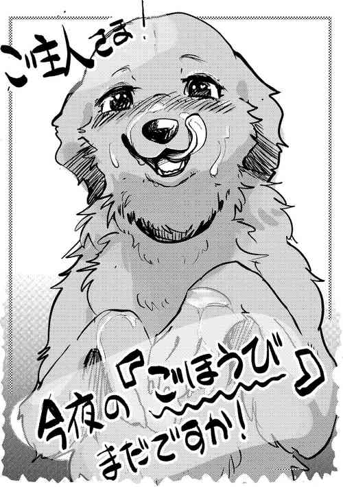 [Kon Juuichibai (Momou)] Goshujin-sama! Konya no "Gohoubi" Mada desu ka! [Decensored] [Digital]