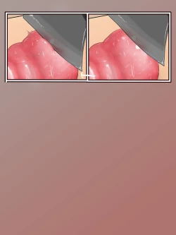 Page 60 of How to make Uterine Rice Sausage