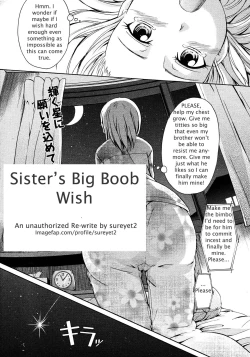 Page 3 of Sister's Big Boob Wish