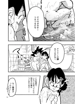 Page 10 of Dragon Ball Fanbook GokuxChihci
