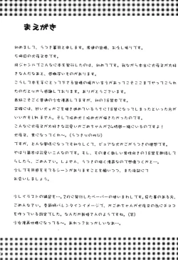 Page 3 of Biidoro Roman