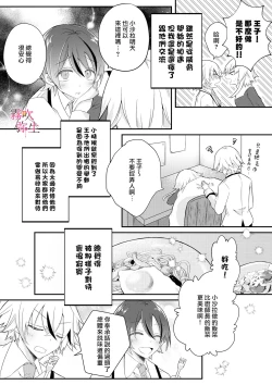Page 10 of Dekiai Kei Yandere Kyoudai Ouji wa Itoshi no Shinkan Mazoku Ochi Sasetai | 溺愛係病嬌王子兄弟想讓心愛的神官墮落成魔族