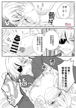 Page 26 of Dekiai Kei Yandere Kyoudai Ouji wa Itoshi no Shinkan Mazoku Ochi Sasetai | 溺愛係病嬌王子兄弟想讓心愛的神官墮落成魔族