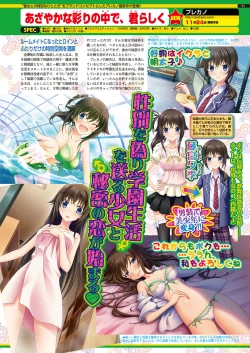 Page 91 of BugBug 2017-11