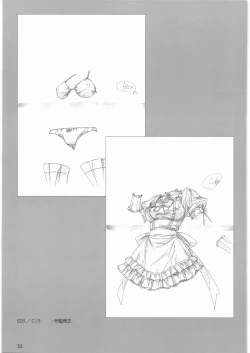 Page 26 of Queen's Blade Gyokuza o Tsugumono Ending Gengashuu