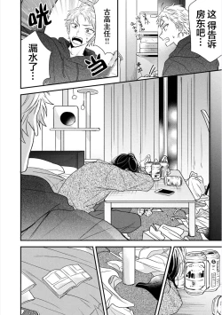 Page 27 of Dakasete Kudasai Furutaka Shunin｜请让我抱您古高主任