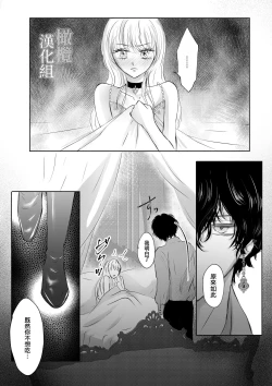 Page 26 of tensei shitara kuro ō taishi ni dekiai sa remashita｜转生后被黑王太子溺爱了