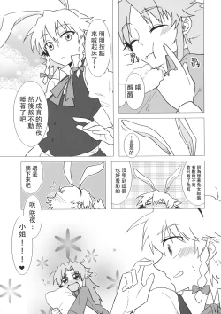 Page 30 of Touhou Kouginmu 2 | 東方紅銀夢2