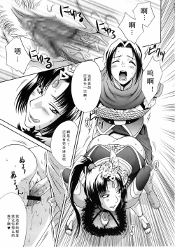 Page 17 of In Sangoku Musou 3