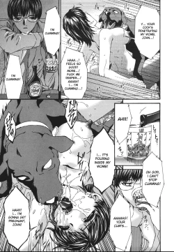 Page 19 of Shujuukankei