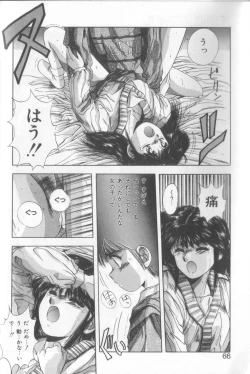 Page 66 of Tropical Eyes