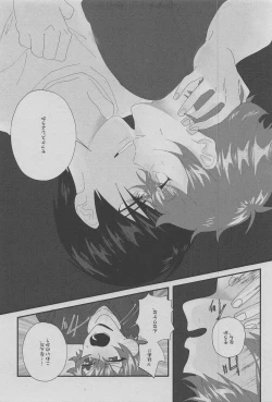 Page 28 of hato／supedo