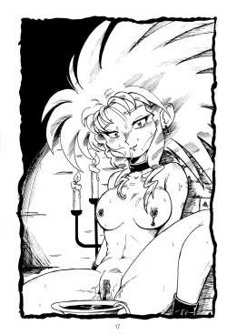 Page 17 of Ne Wakkaru Deshou Vol.2 bis