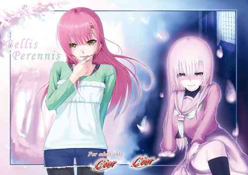 Download Bellis Perennis