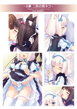 Page 31 of NEKOPARA ART WORKS Vol.1