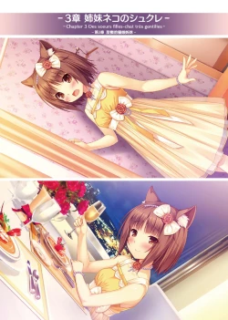 Page 28 of NEKOPARA ART WORKS Vol.2