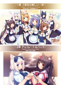 Page 12 of NEKOPARA ART WORKS Vol.3