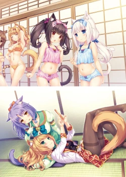 Page 21 of NEKOPARA ART WORKS Extra