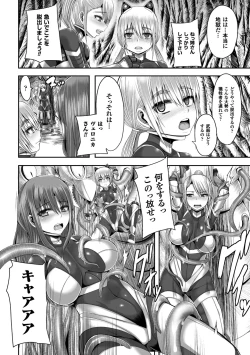 Page 12 of Tsuwamono-domo ga Yume no Ato