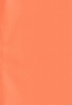 Page 2 of Ranger-chou Kansatsu Nikki