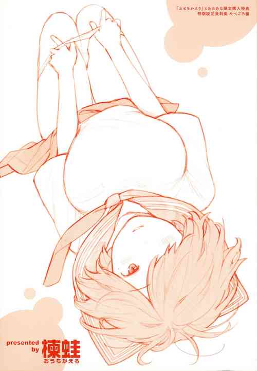 Download Omochikaeri Toranoana Gentei Kounyu Tokuten Leaflet Shoki Settei Shiryoushuu Tabegoro Hen