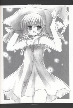 Page 3 of Night with a clouded-over moon