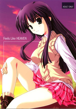 [Nirvana Soft] Feels like HEAVEN (Gad Guard & White Album)