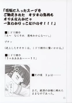 Page 15 of ERROR MESSAGE