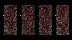 Page 36 of Stop Strip