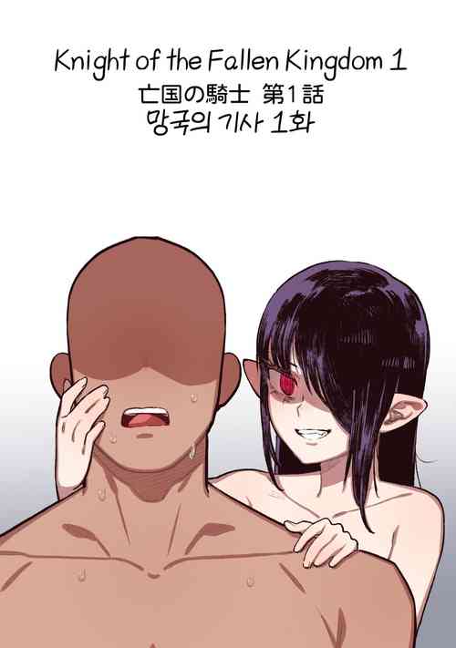 [6no1] Knight of the Fallen Kingdom 1 (23.02) [Japanese] [Uncensored]