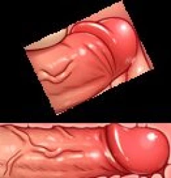 Page 42 of Stop Strip